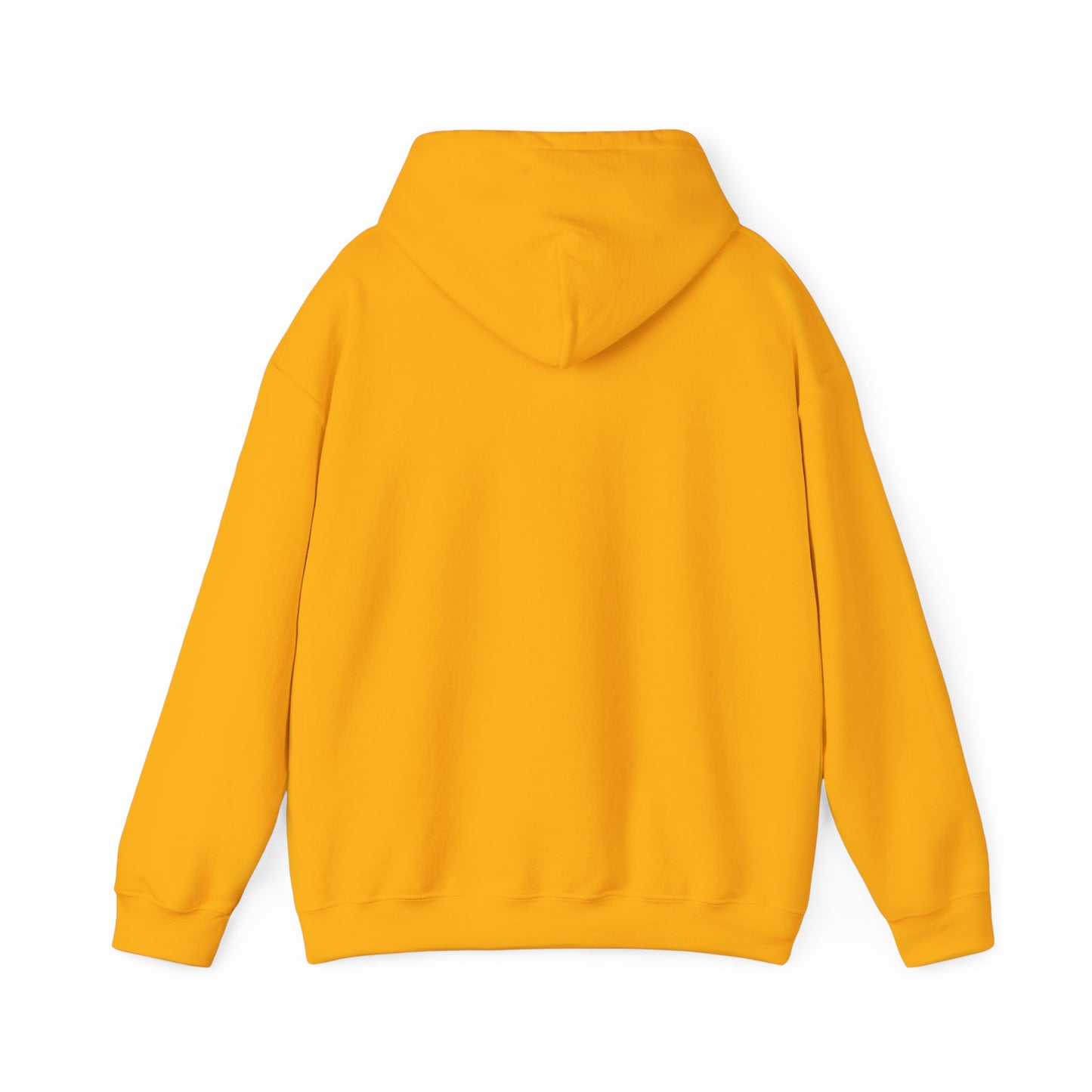 DigBar Graphic Hoodie
