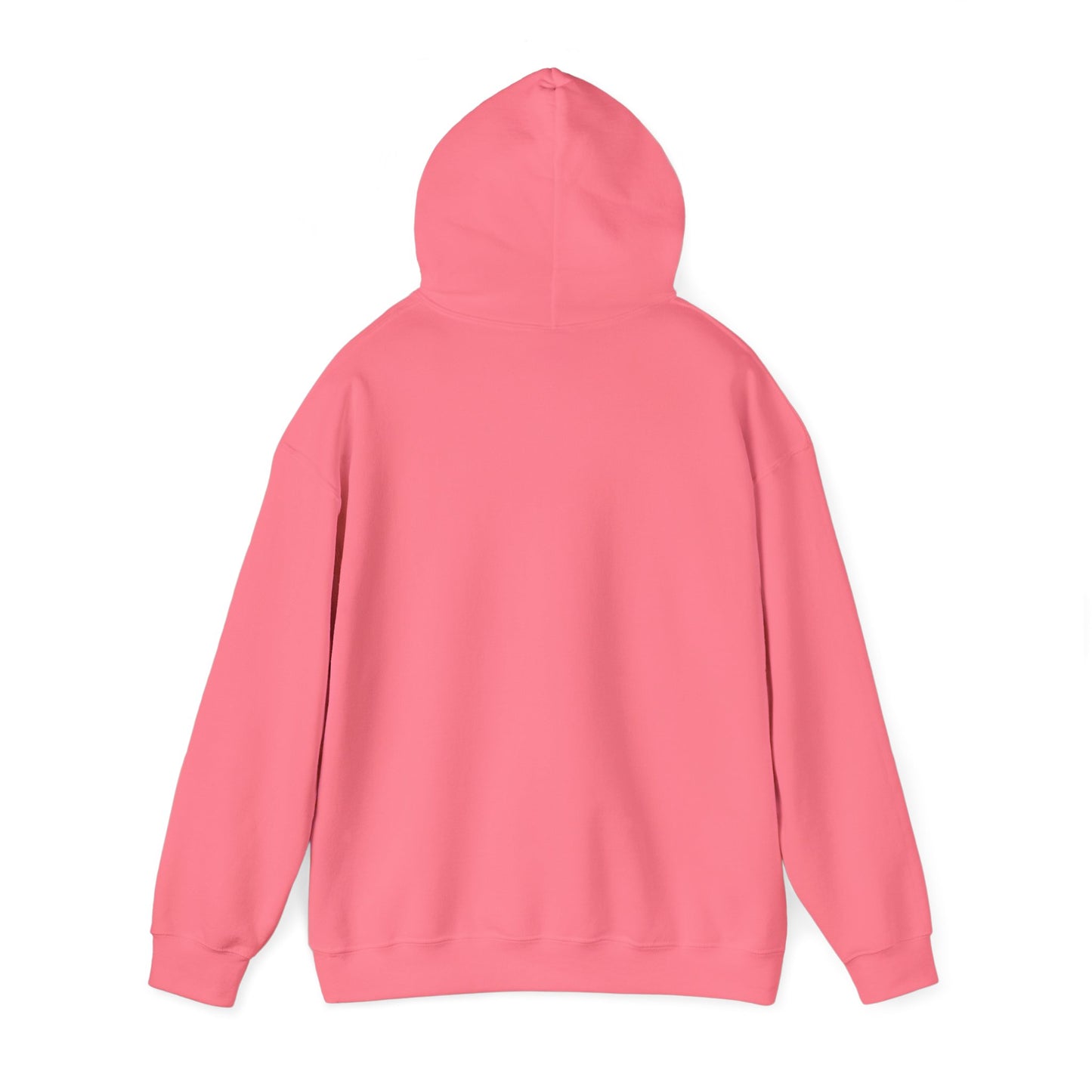 DigBar Graphic Hoodie