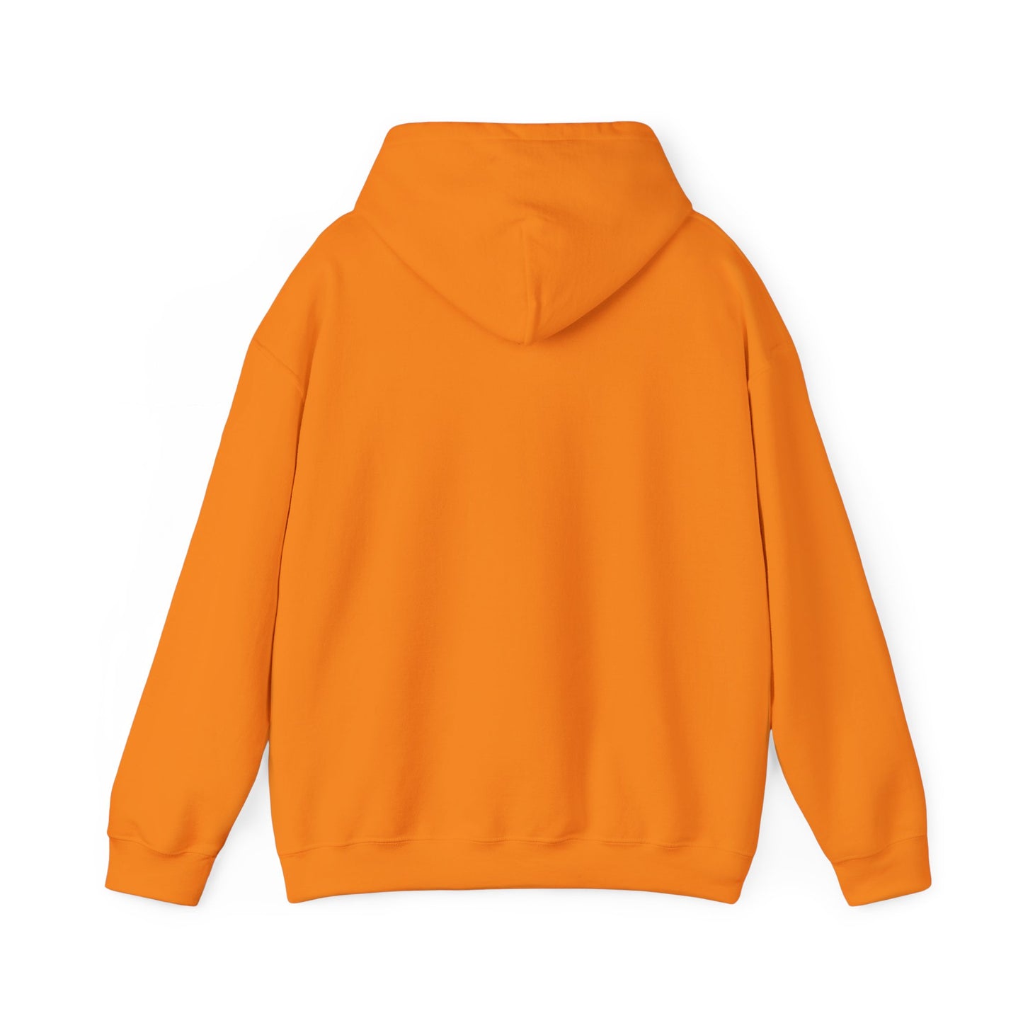 DigBar Graphic Hoodie