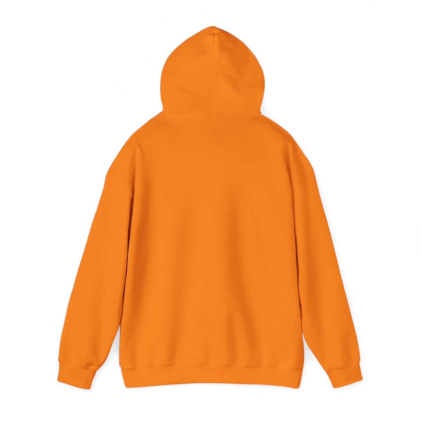 DigBar Graphic Hoodie