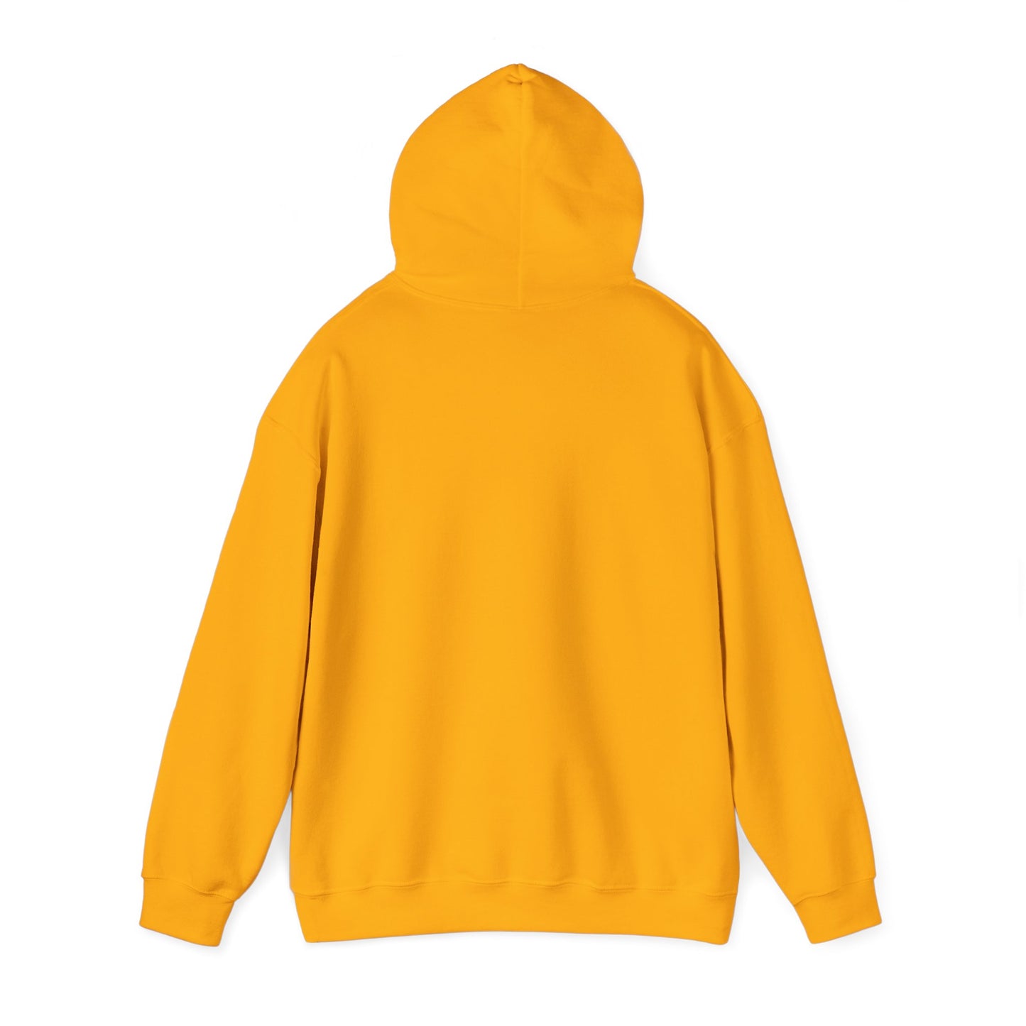 DigBar Graphic Hoodie